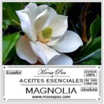 Absoluto de Magnolia Alba
