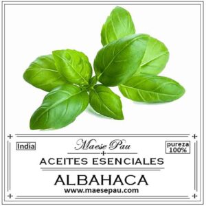 Aceite Esencial de Albahaca