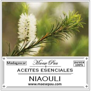 Aceite Esencial de Niaoulí