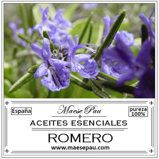 Aceite Esencial de Romero Alcanfor
