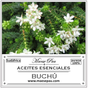 buchu essential oil