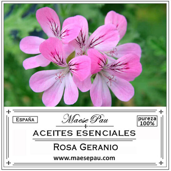 aceite esencial de rosa geranio