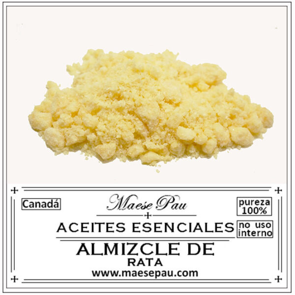 almizcle de rata para perfumería