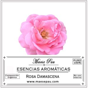 esencia aromatica de rosa damascena