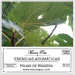 esencia aromática de hojas de higuera