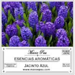 esencia aromática de jacinto azul