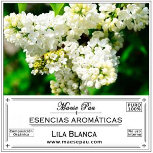 esencia aromática de lilas blancas