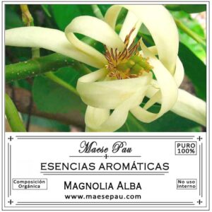 esencia aromática de magnolia alba