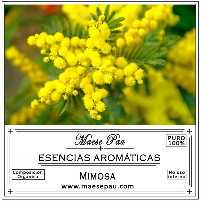 esencia aromática de mimosa