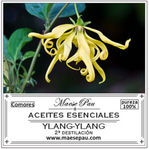 ylang ylang essential oil second distillation