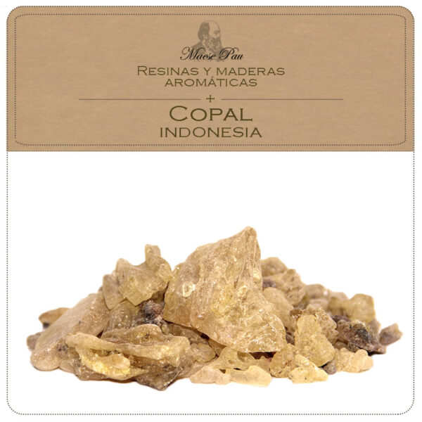 copal indonesia ,resina vegetal para perfumería niche, aromaterapia, cosméticas natural