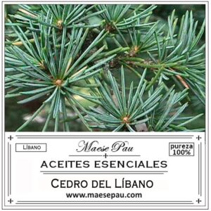 buy cedar of lebanon essential oil