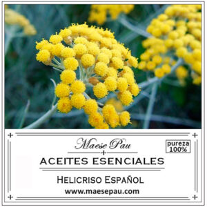 Spanish helichrysum essential oil